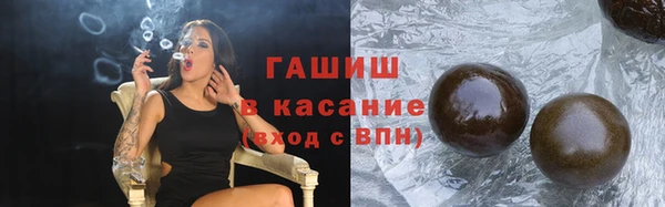 дмт Ельня