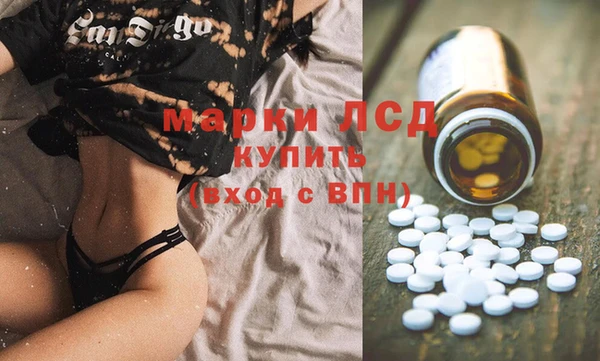 стафф Елизово