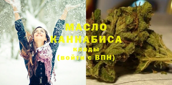 дмт Ельня