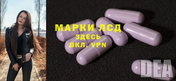стафф Елизово