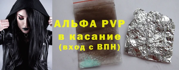 стафф Елизово